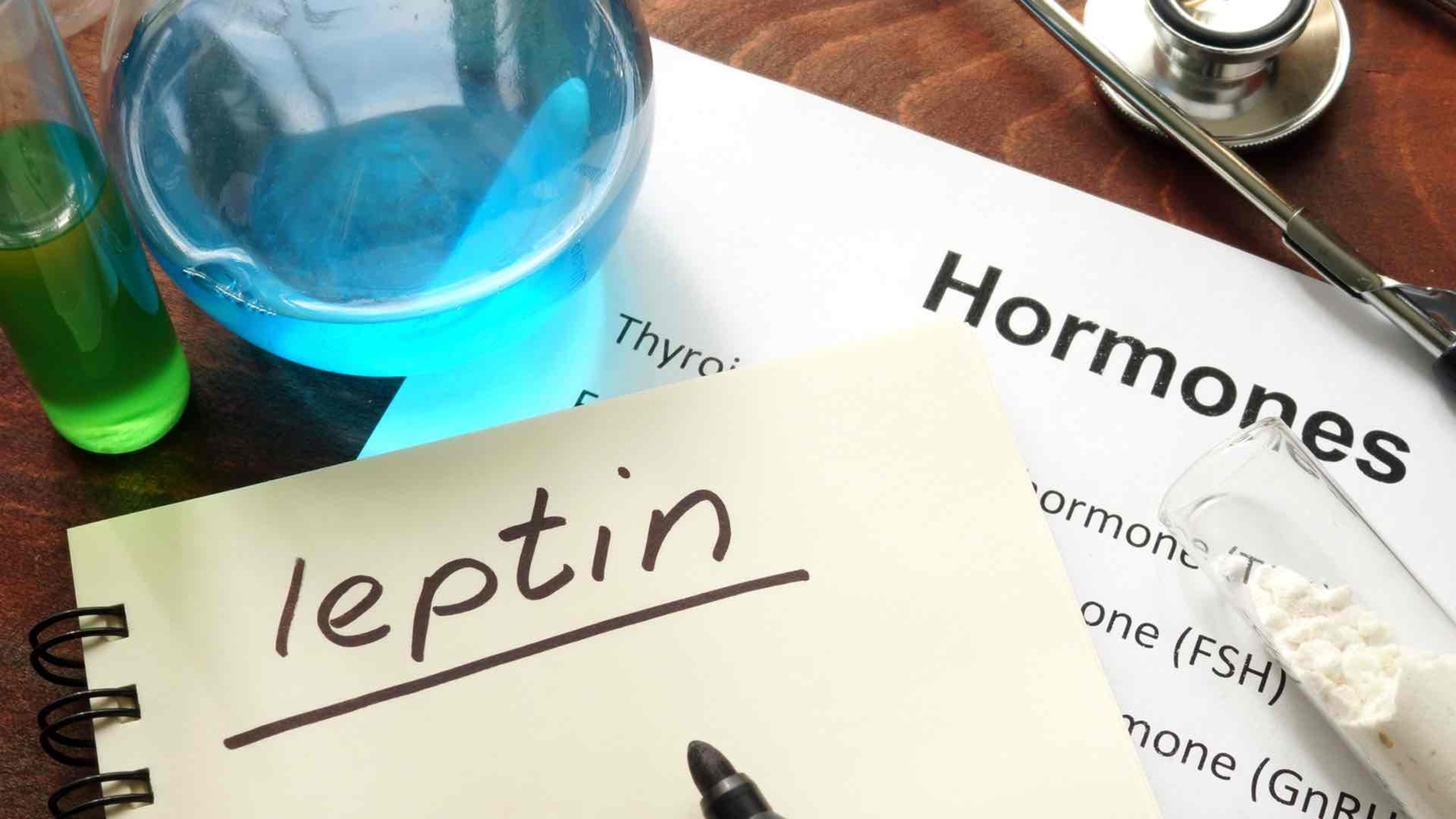 notes about leptin and hormones