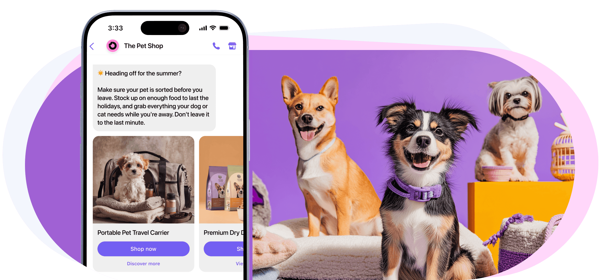 Visual which depicts a personalized Viber message related to home decor product (desktop view)