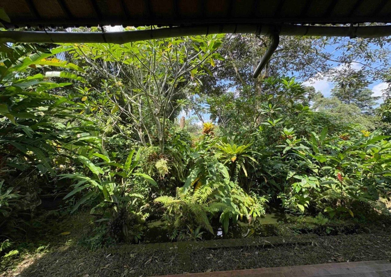 Land plot 615 m² in central Ubud, Leasehold