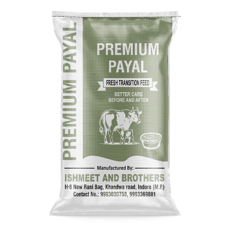 premium payal fresh transition feed