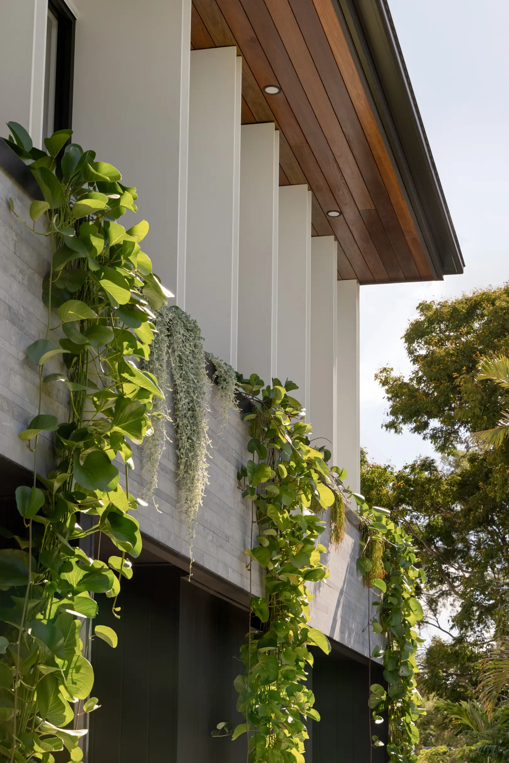 Front facade of Jacaranda House in. Brisbane