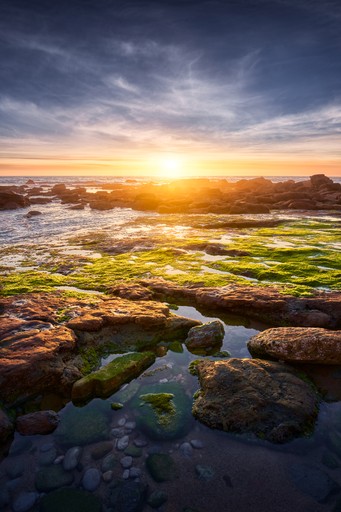 The Golden Gate Bridge next to a beach