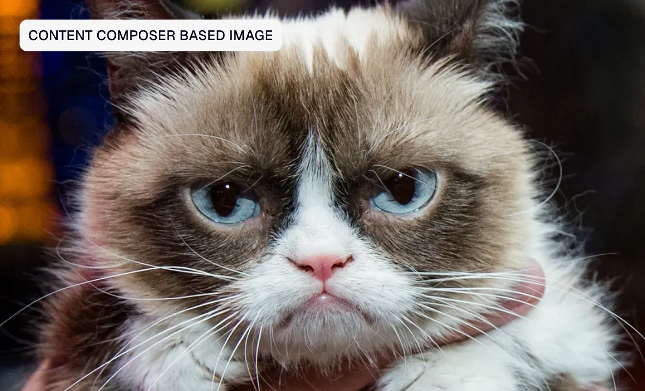 Grumpy cat photo added directly in the content composer, not filling the full width