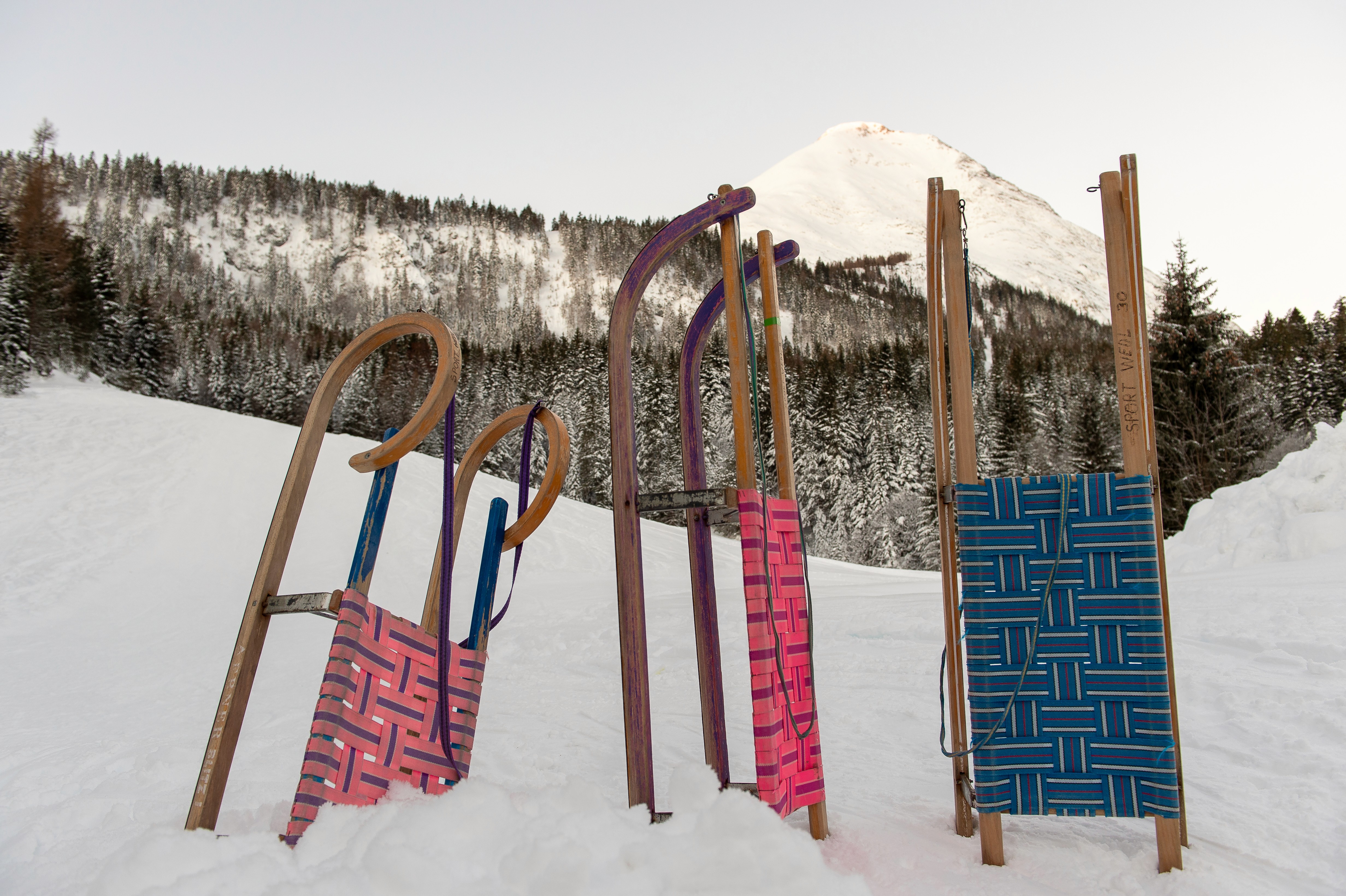 schneeschuhwanderer im pulverschnee bei schönem wetter im wald