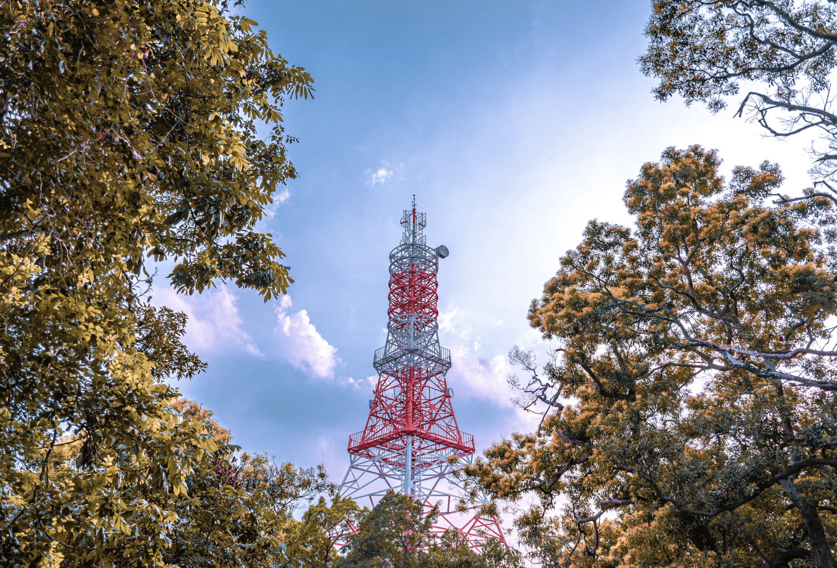 cell tower investment