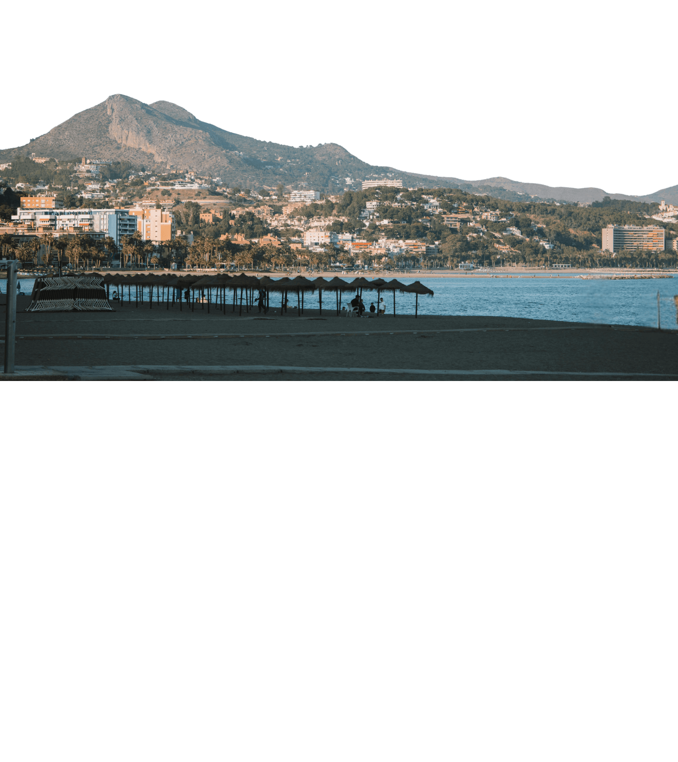 modern sculptural building with curved wooden exterior