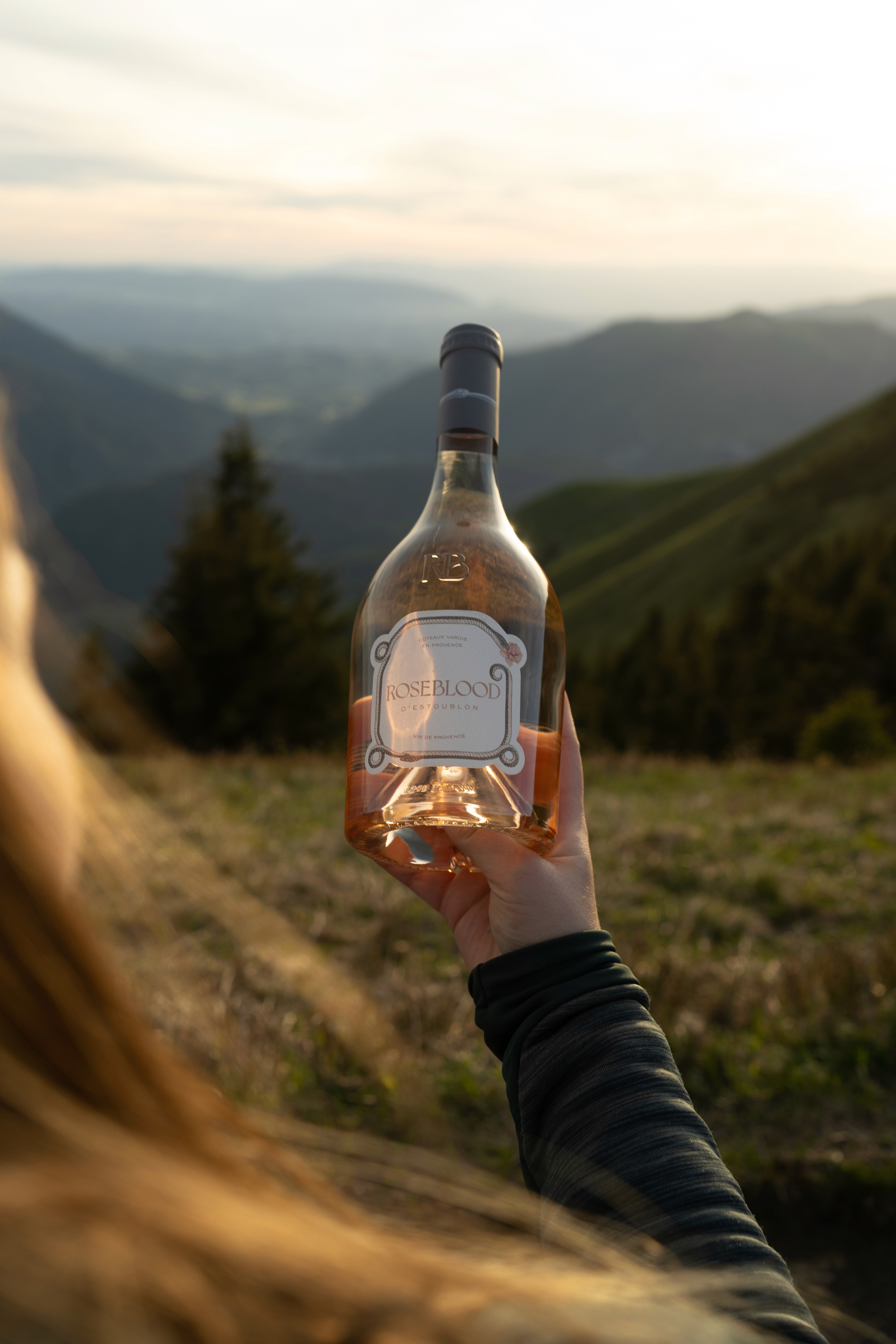 Hand holding ripe purple grapes in a vineyard. Nature, viticulture, and grape production theme.