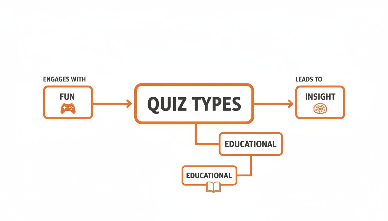 Flowchart illustrating quiz types, showing they engage with fun, lead to insight, and include educational categories.
