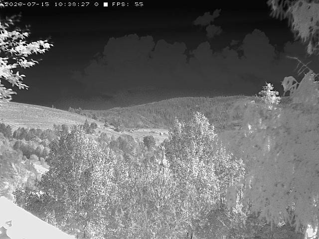 LWIR — forest ridge and mountain slope