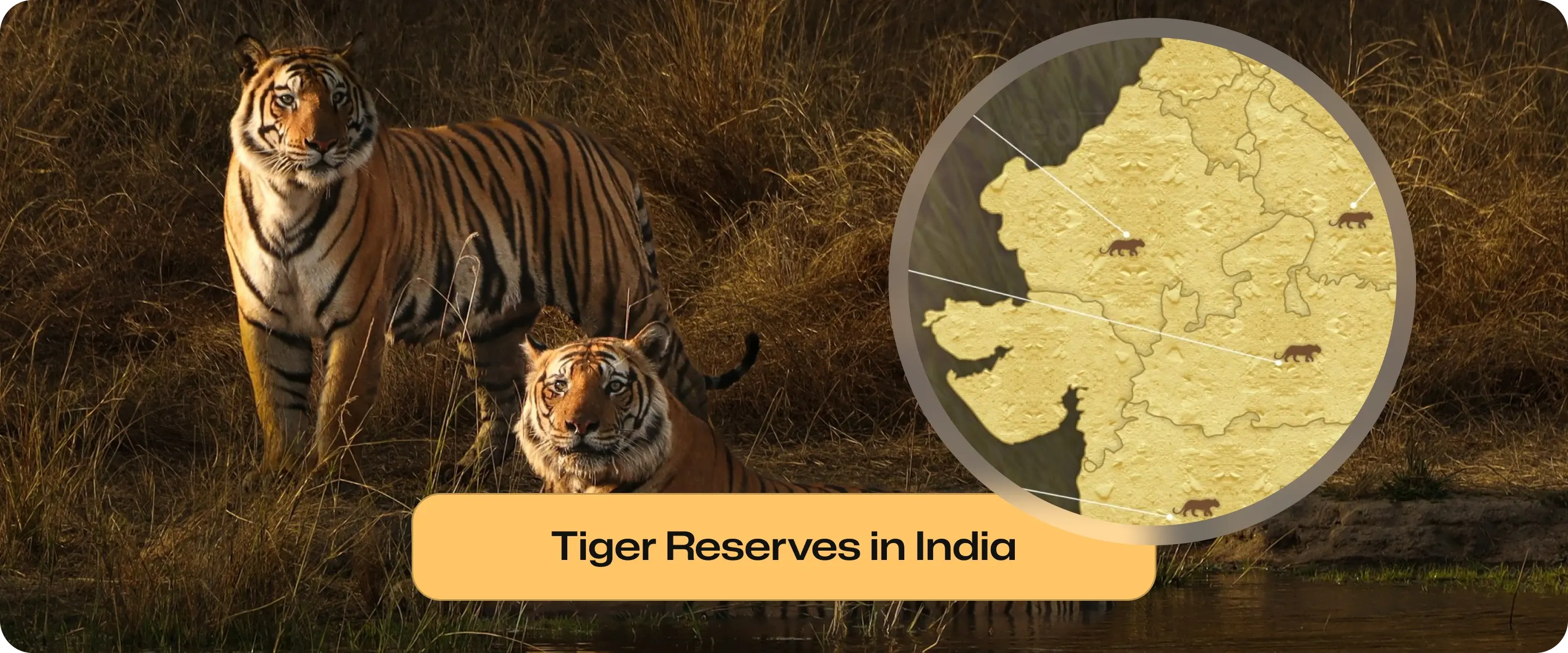 Tiger Reserves in India