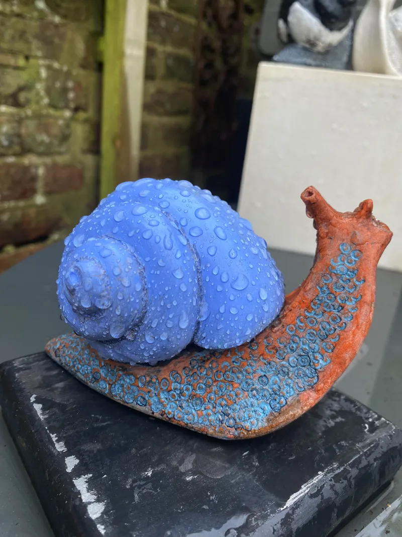 close up blue and orange snail by Abby Martin