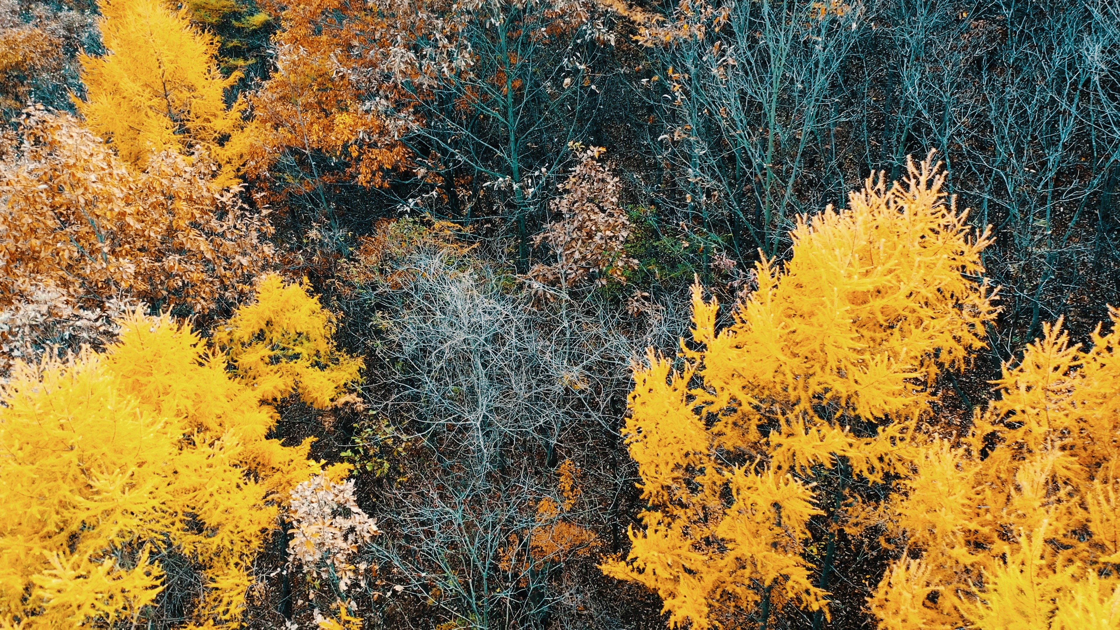 Close-up of model in orange and black outfit behind glass
