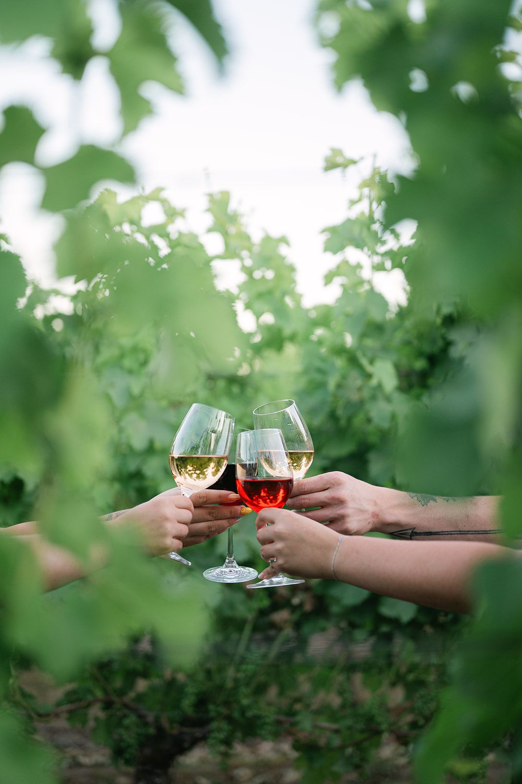 Individual Nutrition Consultation