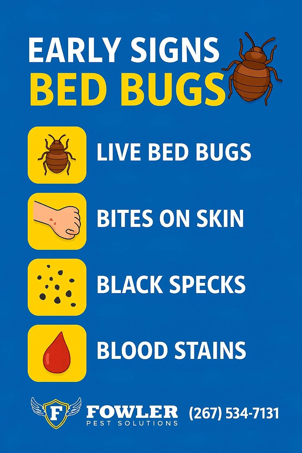 Bed Bugs
