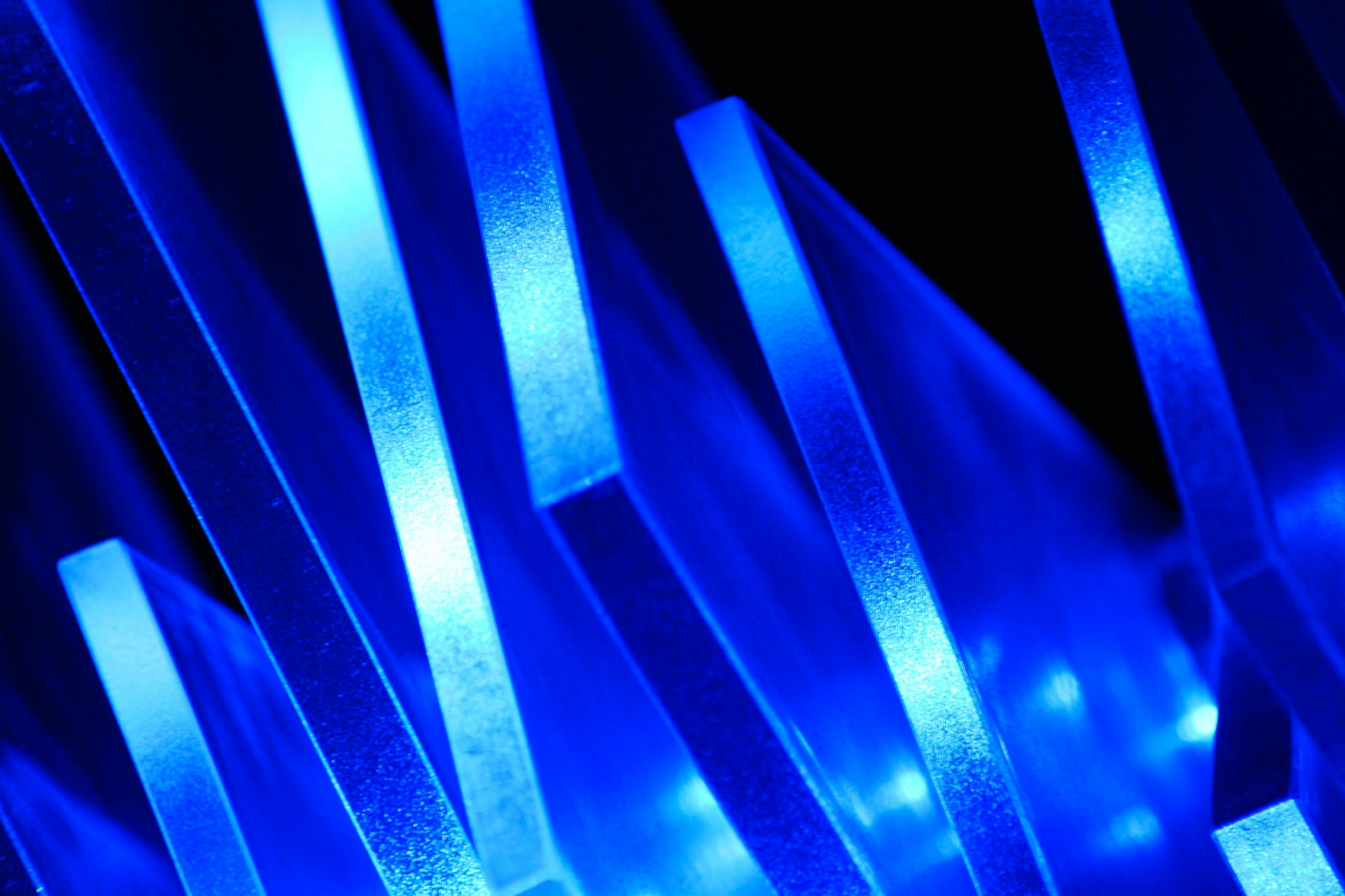 blue and black light digital wallpaper