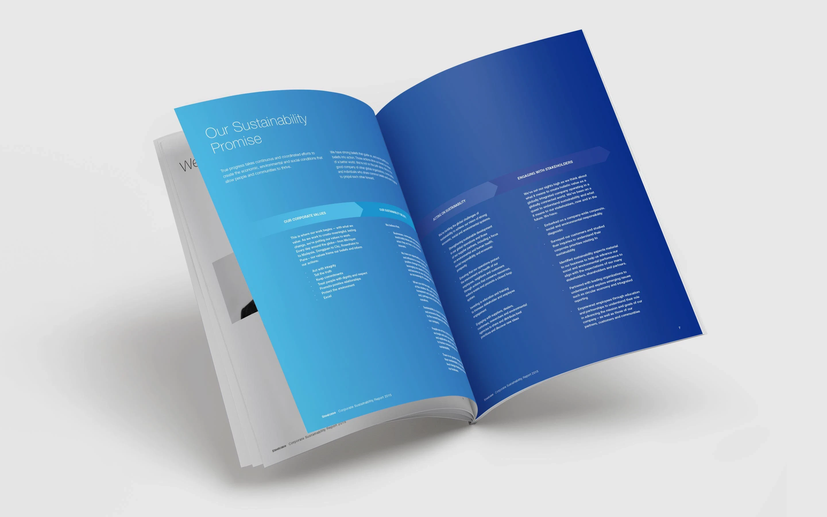 Steelcase RSE Report