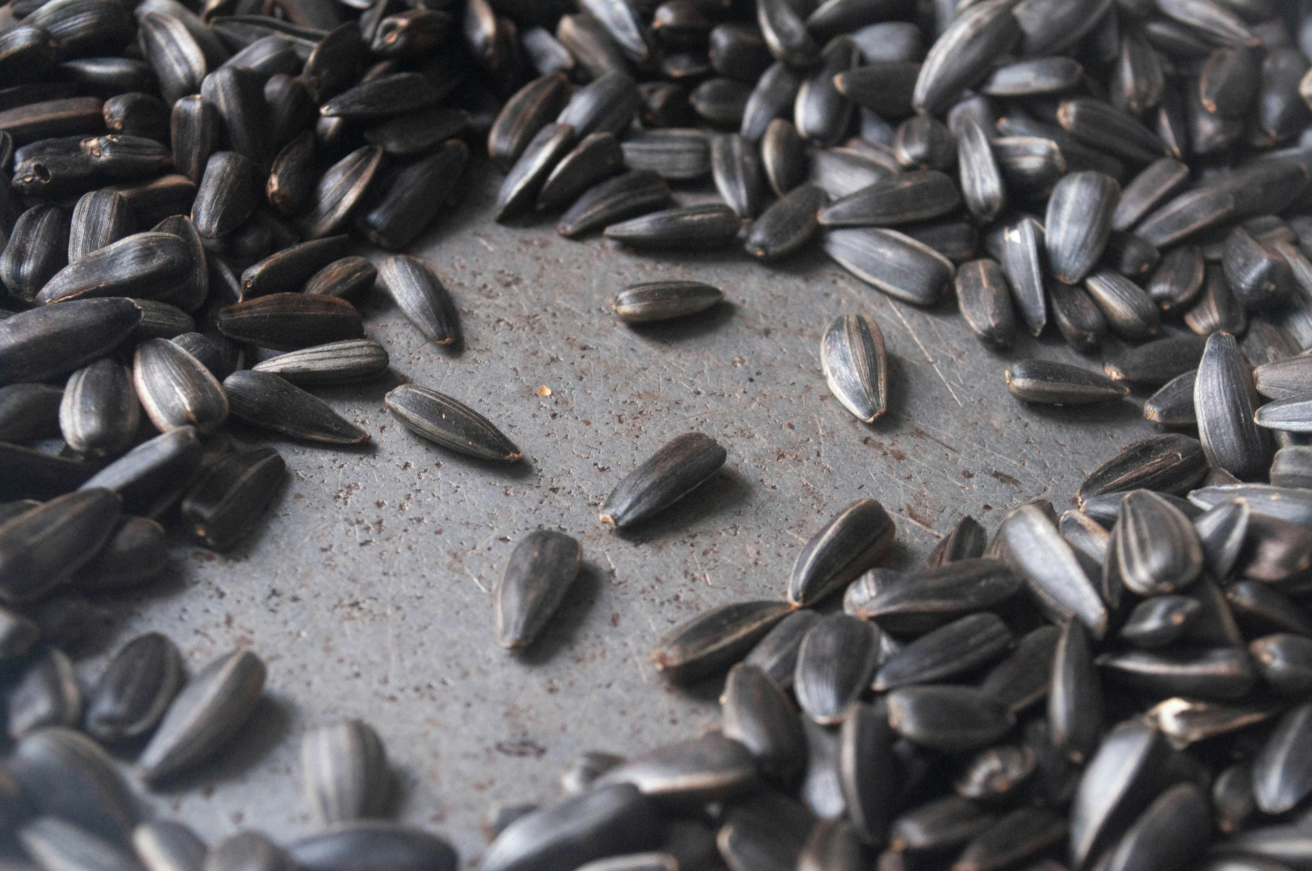 A pile of sunflower seeds on a textured surface.
