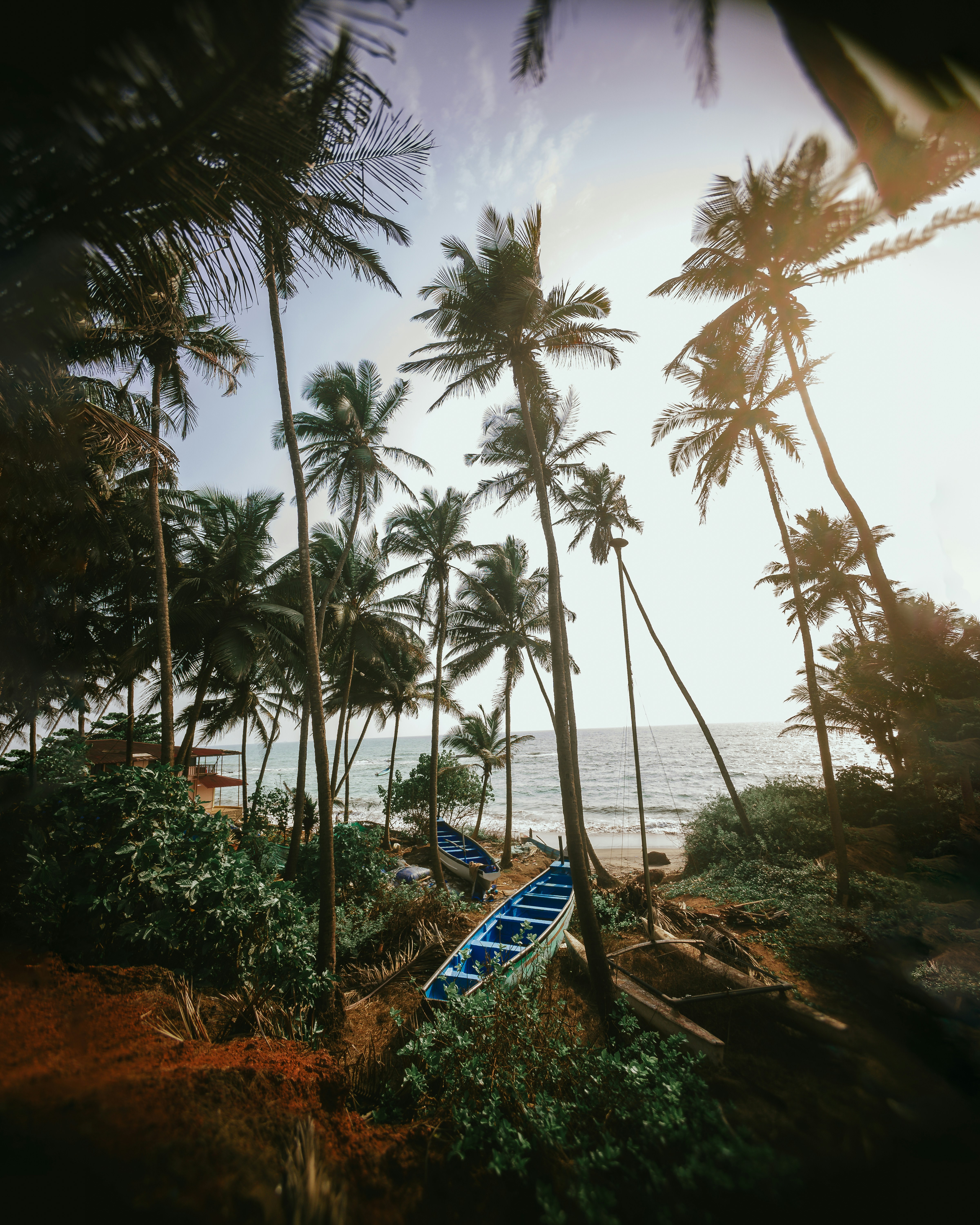 landscape photo of a blue boat and coconut trees