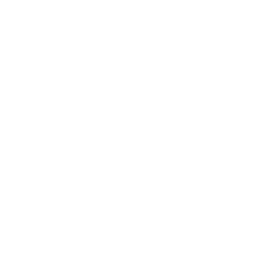 ChatGPT logo