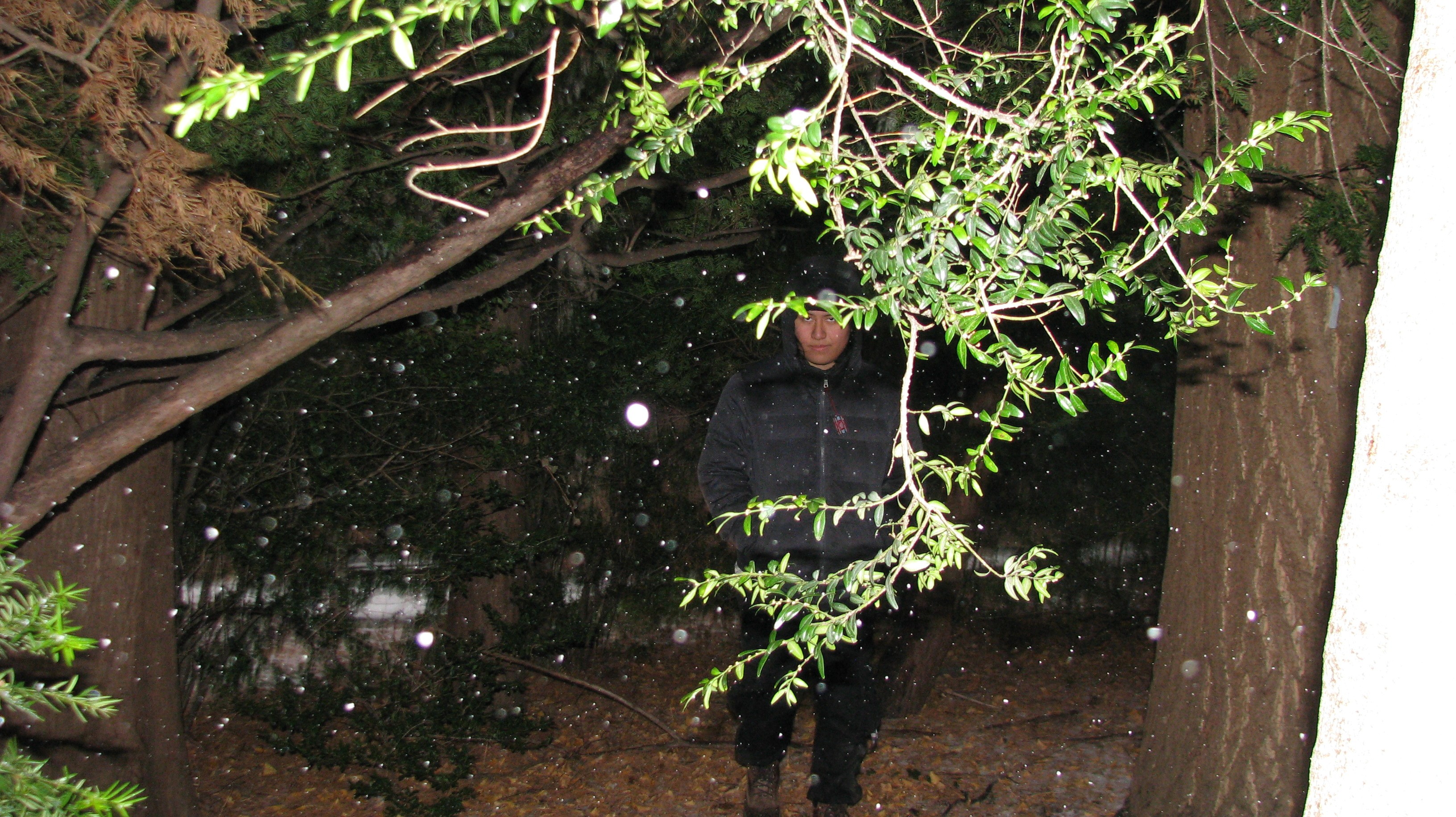 MAX. CANON POWERSHOT. WINTER 2025. PHILADELPHIA, PA. 