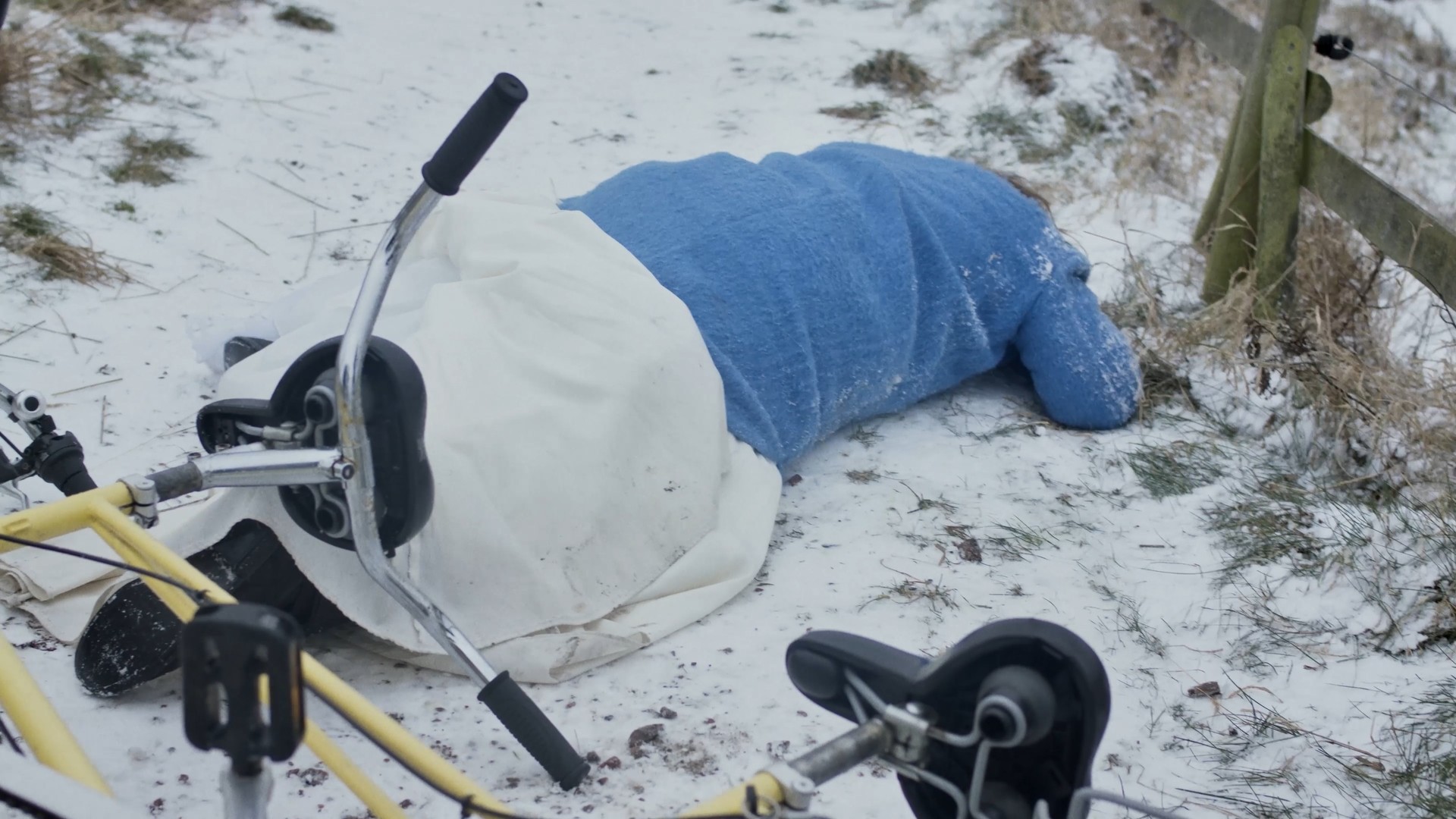 Magnetic repel image