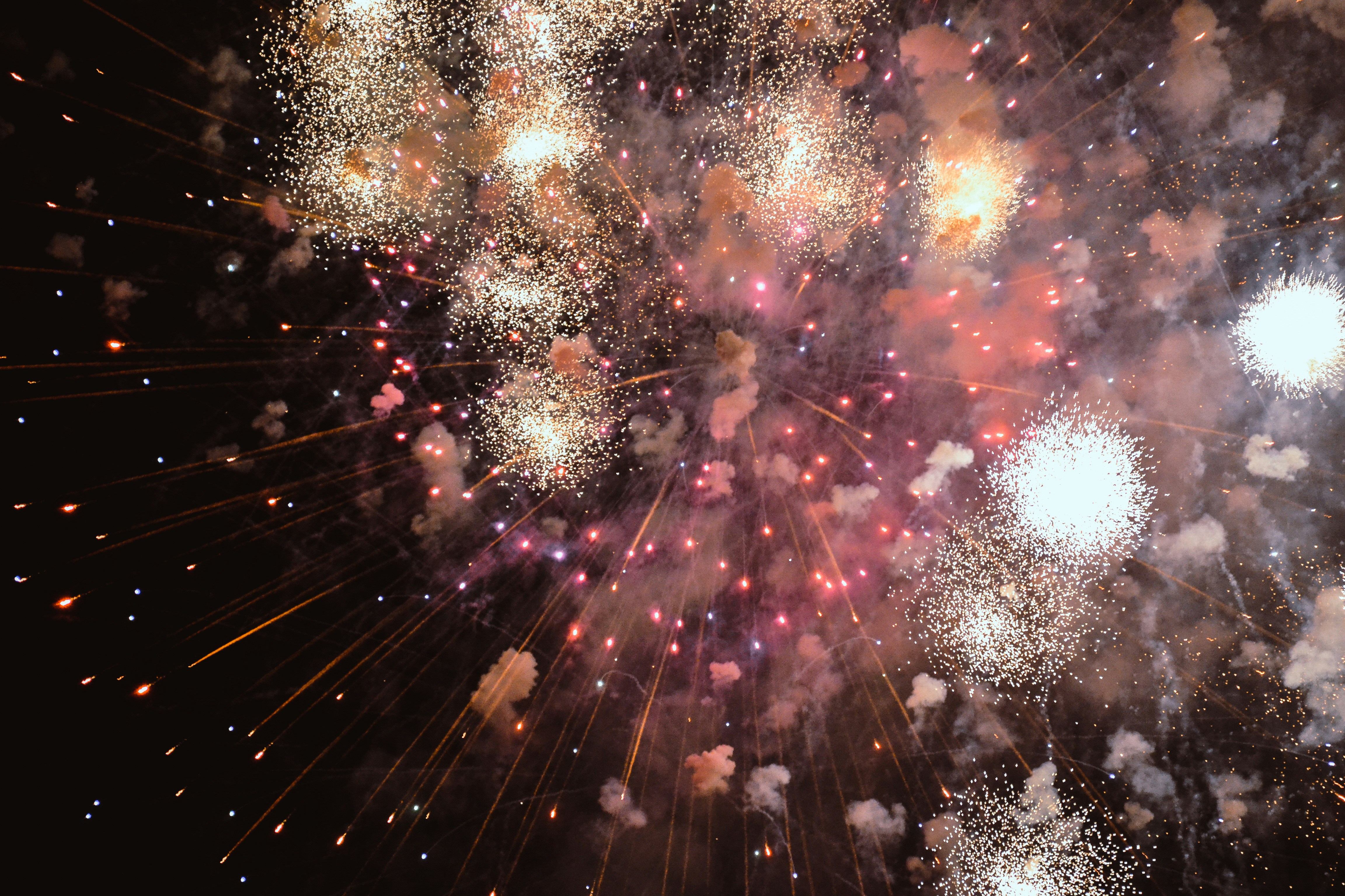 low angle photo of firework display
