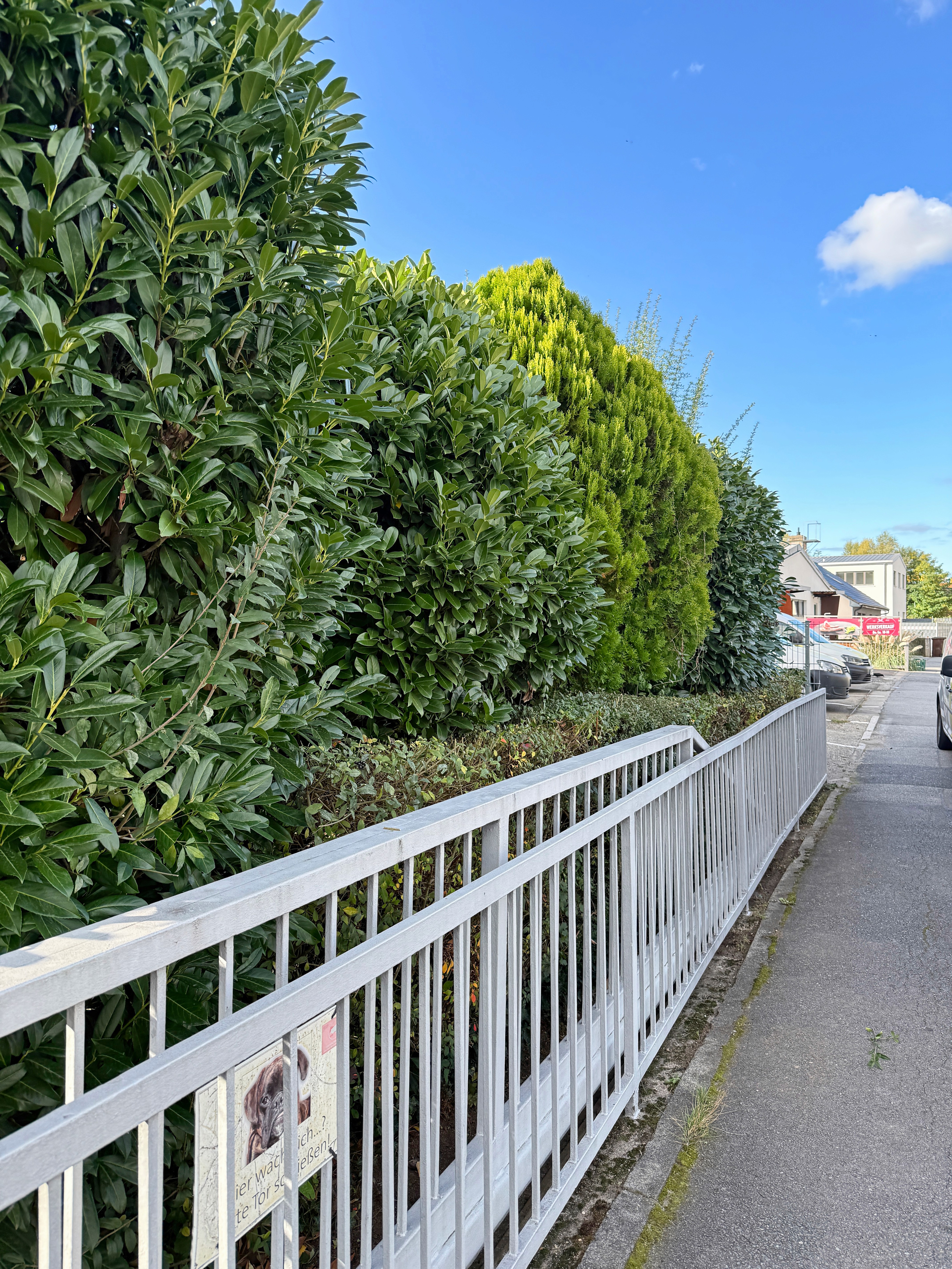 Beautiful landscaped garden with greenery and outdoor design elements.