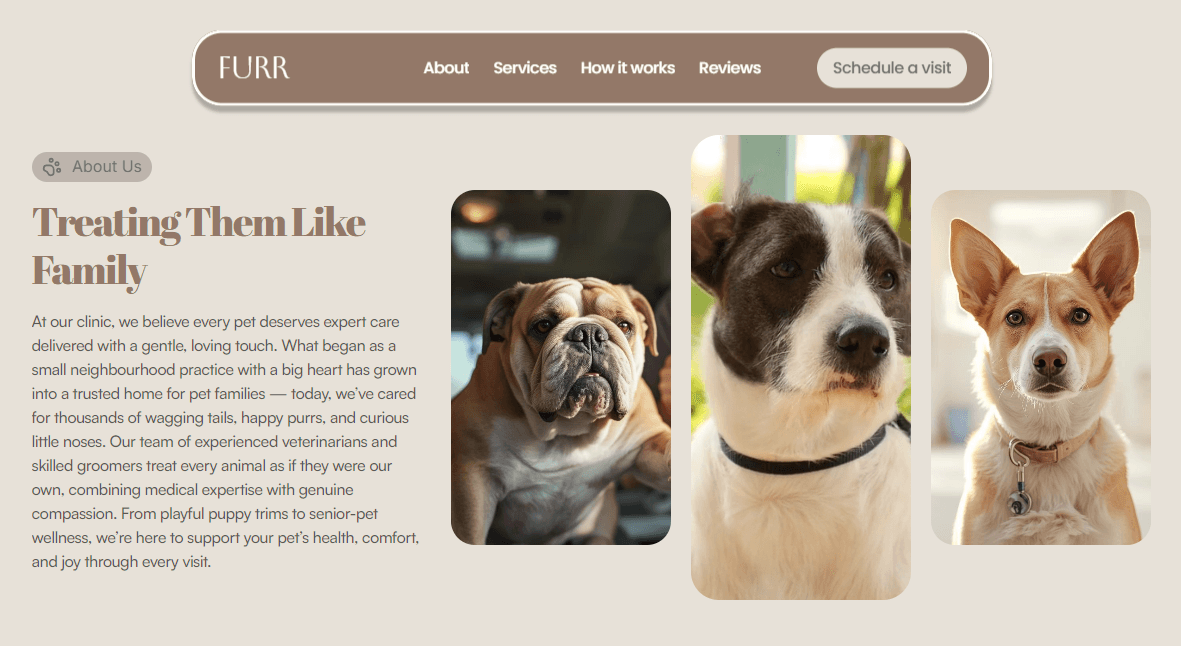 Gallery of pets receiving grooming and wellness care