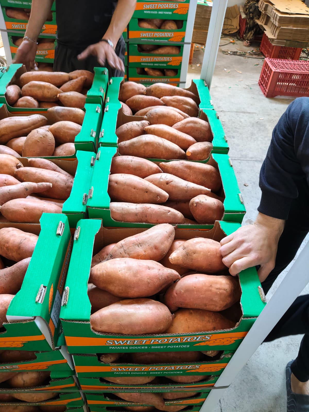 Sweet potatoes detail