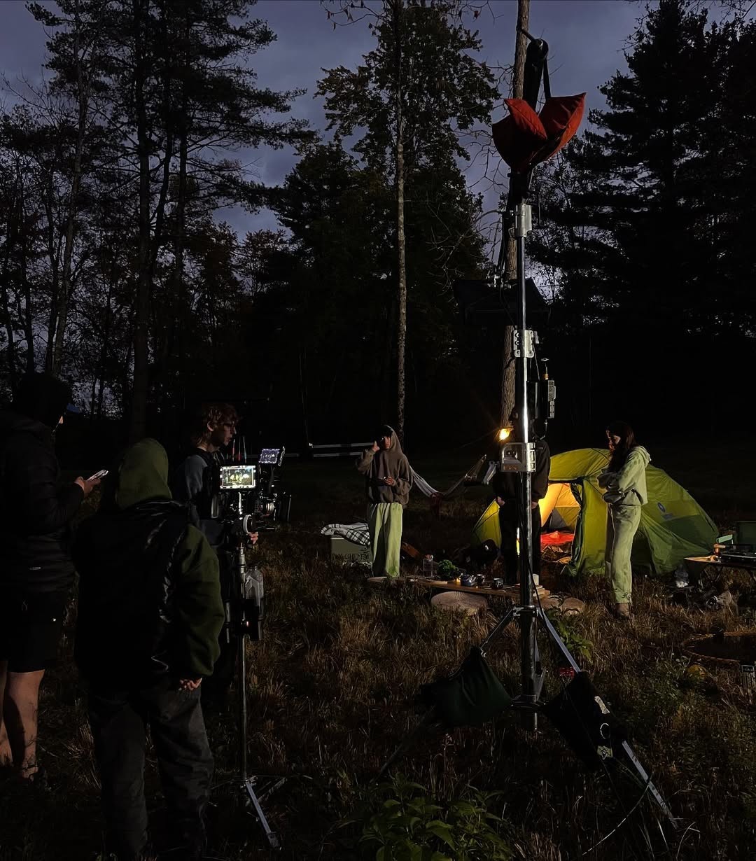 A green butterfly rests on a flower.