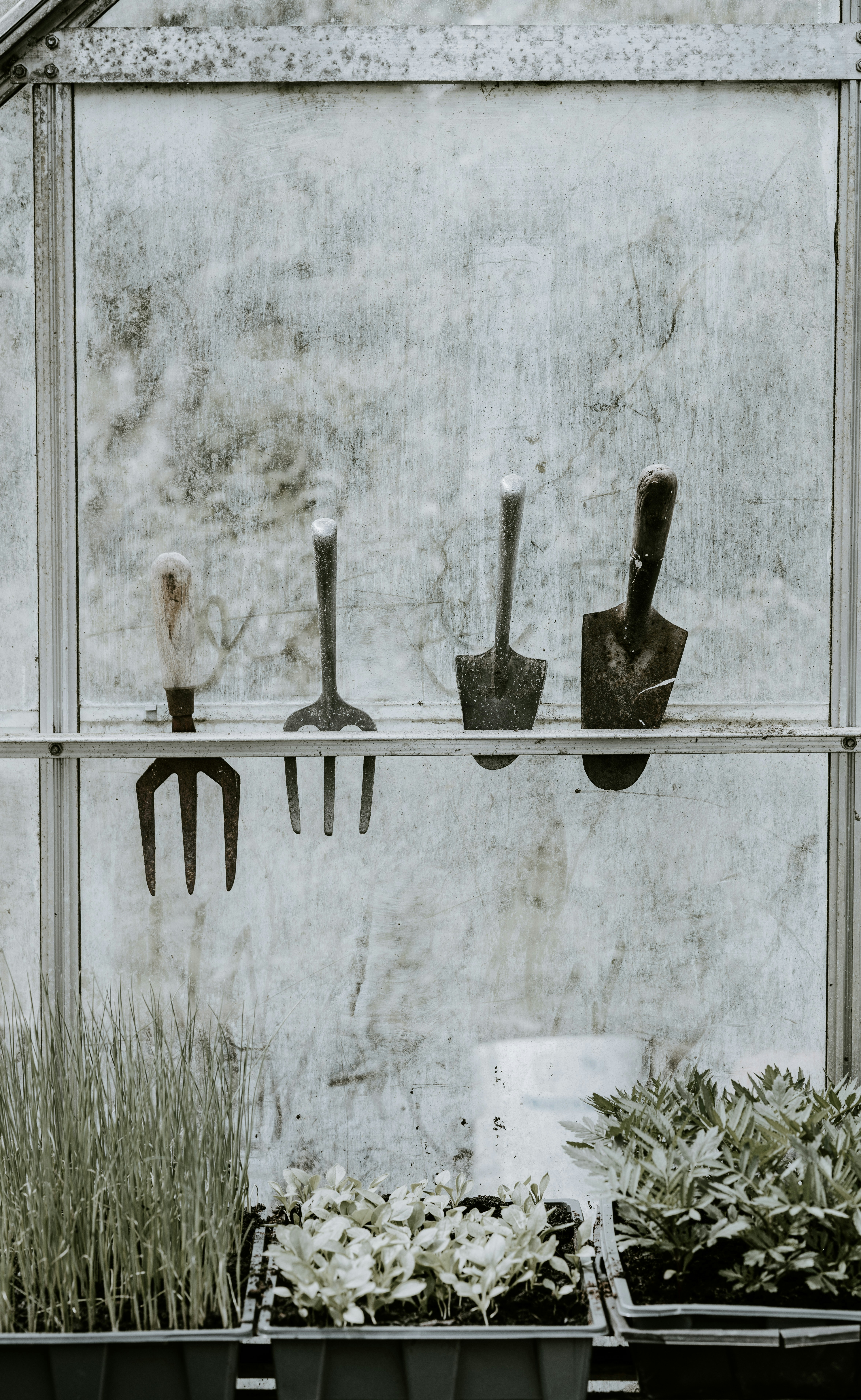 four handheld gardening tools on rack