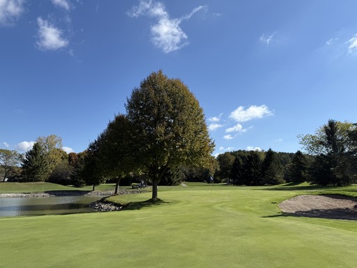 a man swinging a golf club on top of a green field