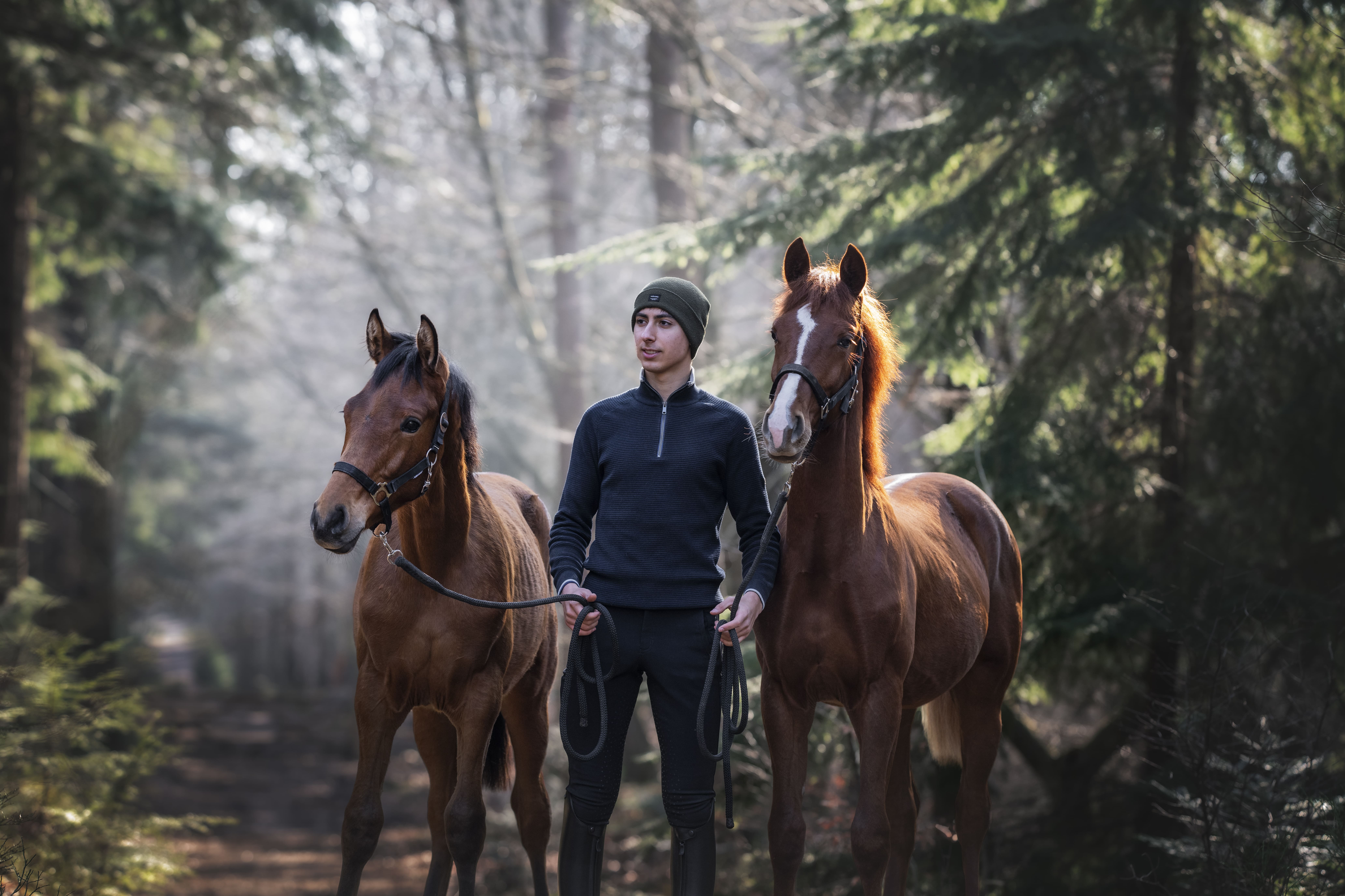 Troy hiking in forest 