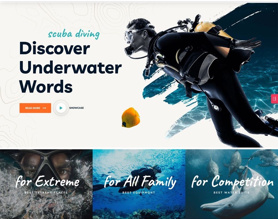 Electric Water Sports Ecommerce Store for Sale  Premium Gear