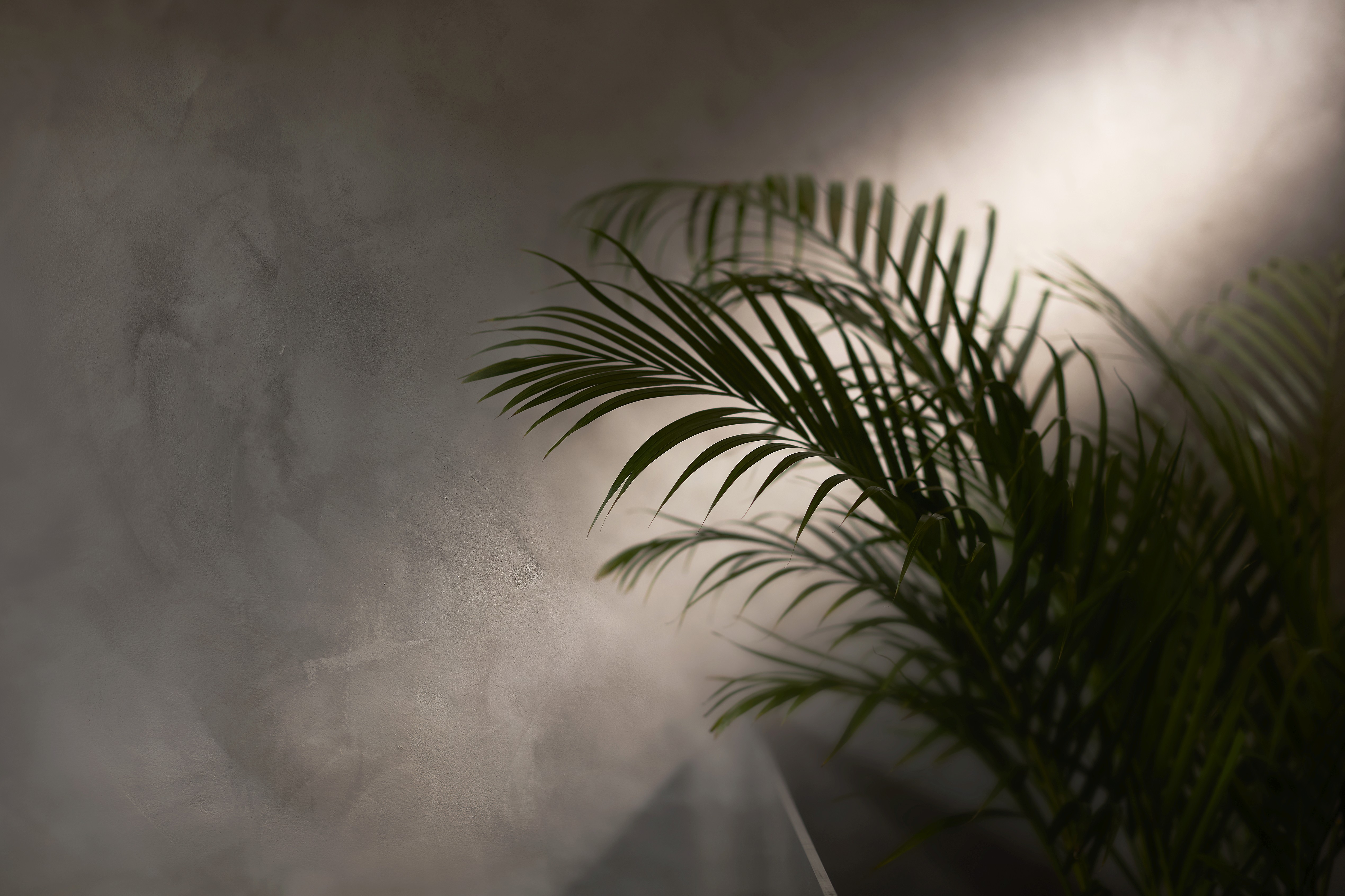HOLON wellness centre interior design by S+Co - photography Wes Kingston