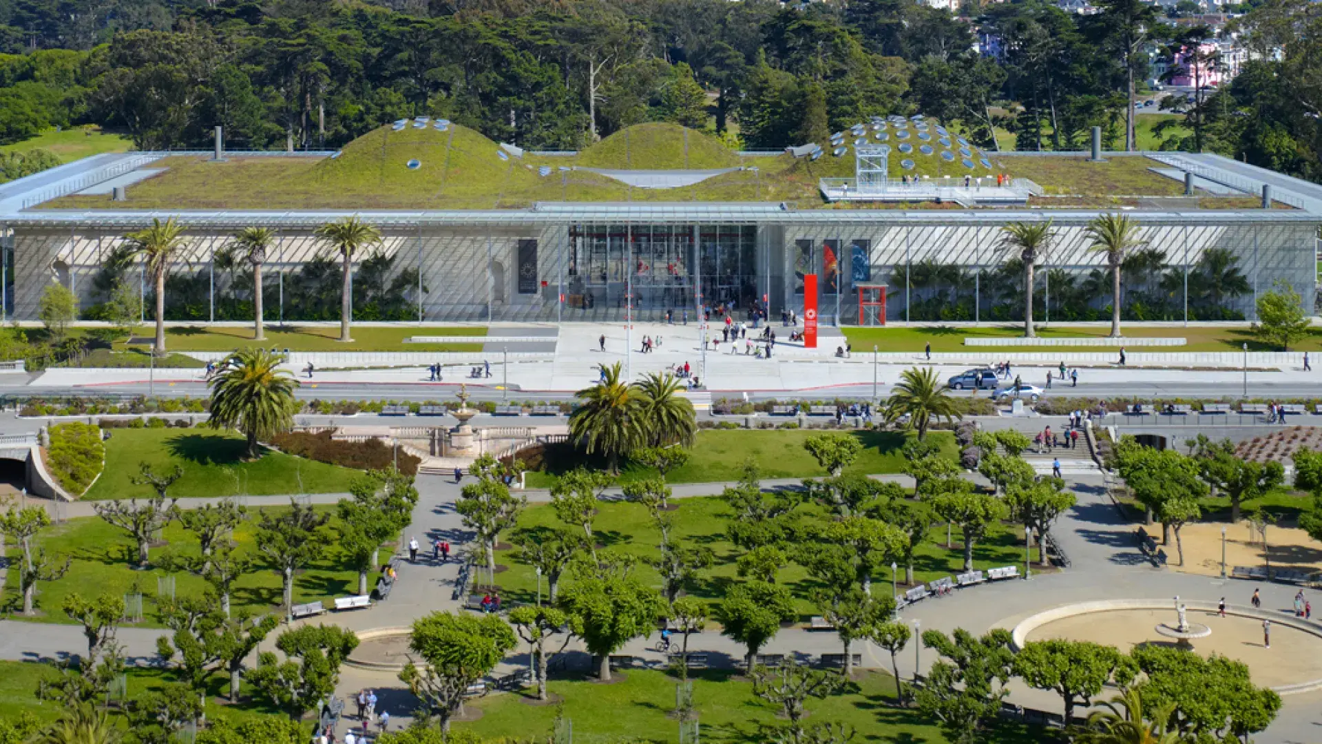 California Academy of Sciences