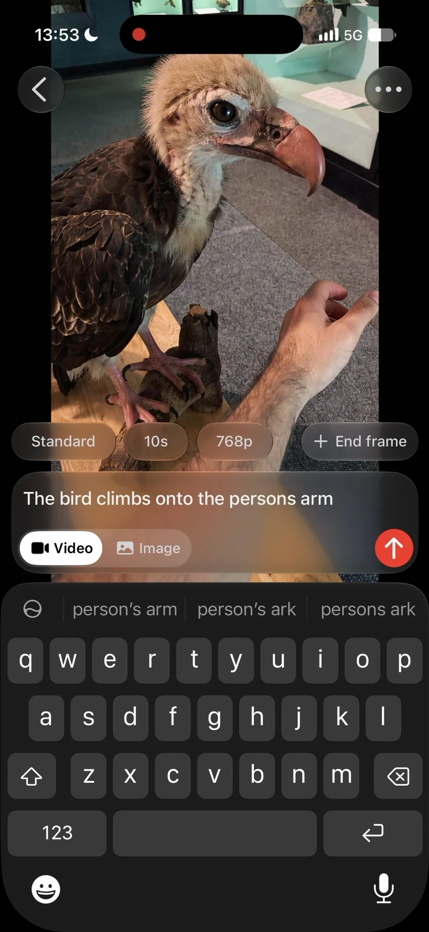 Simulon video prompt screen, showing the instruction: The bird climbs onto the person’s arm.