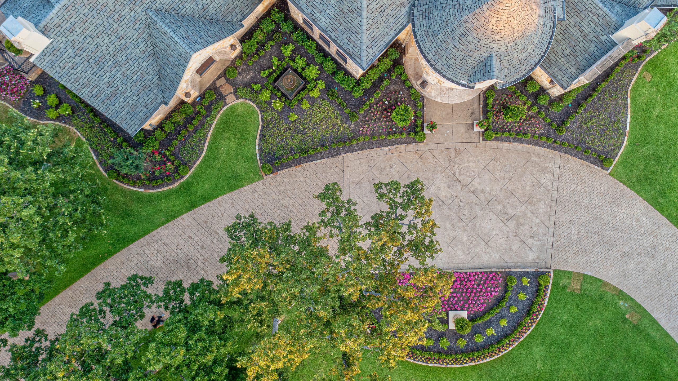 Walkthrough & Care Plan