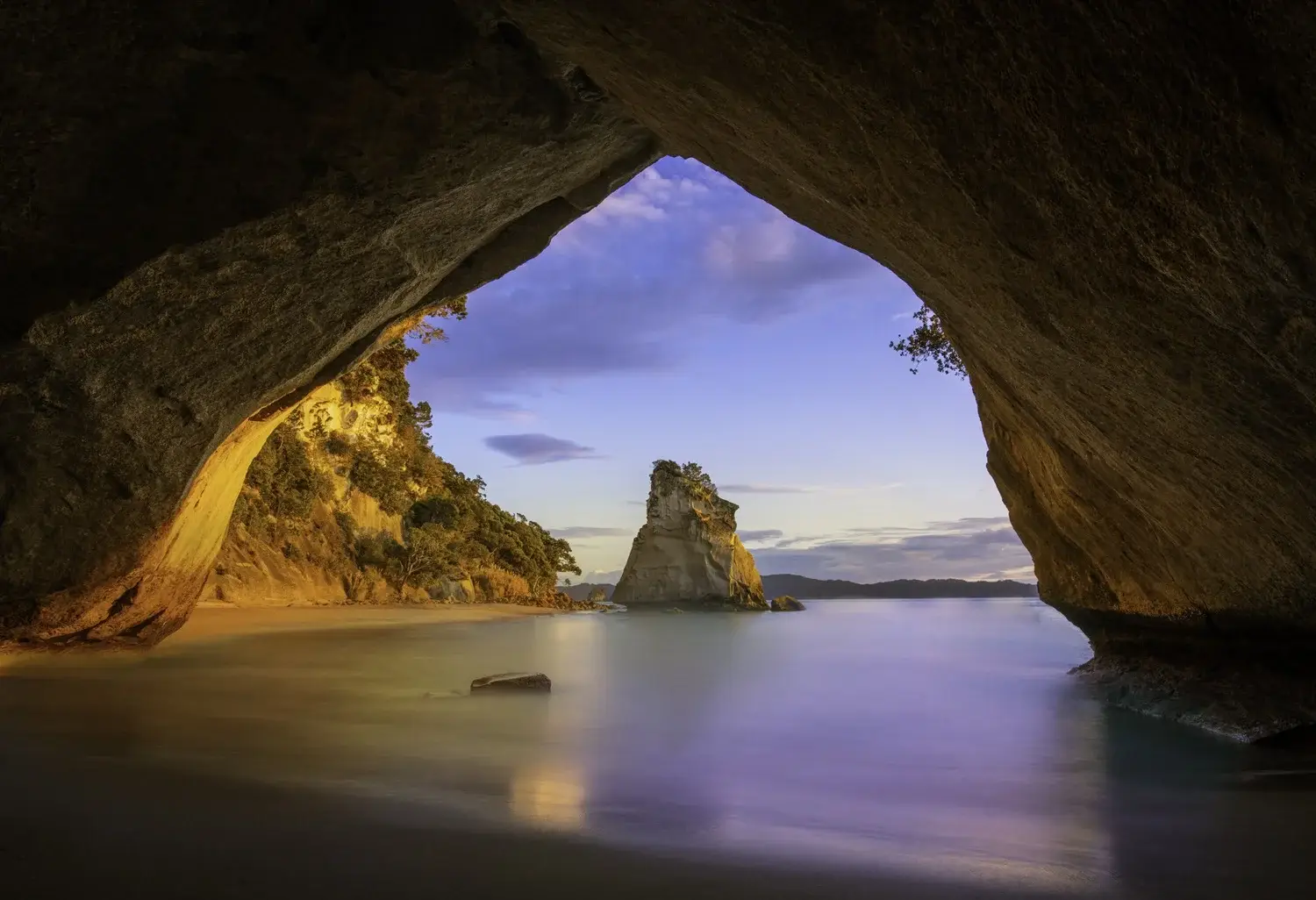 Dramatic Silhouette Portrait