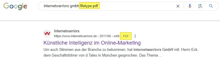 Schaubild wie PDF in Google angezeigt werden