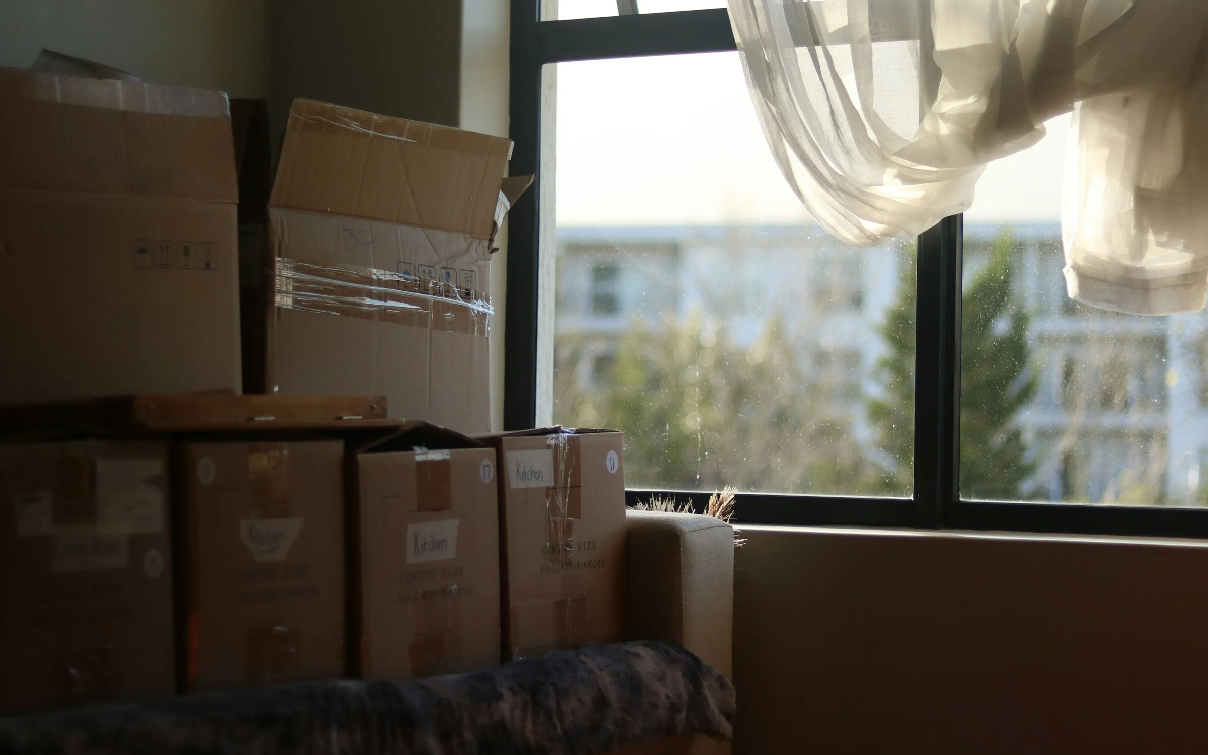 Moving Companies industry: digital products by Alpha Expansion