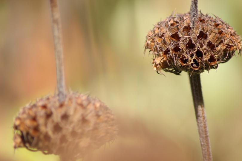 a black and white cat laying on top of a white wall