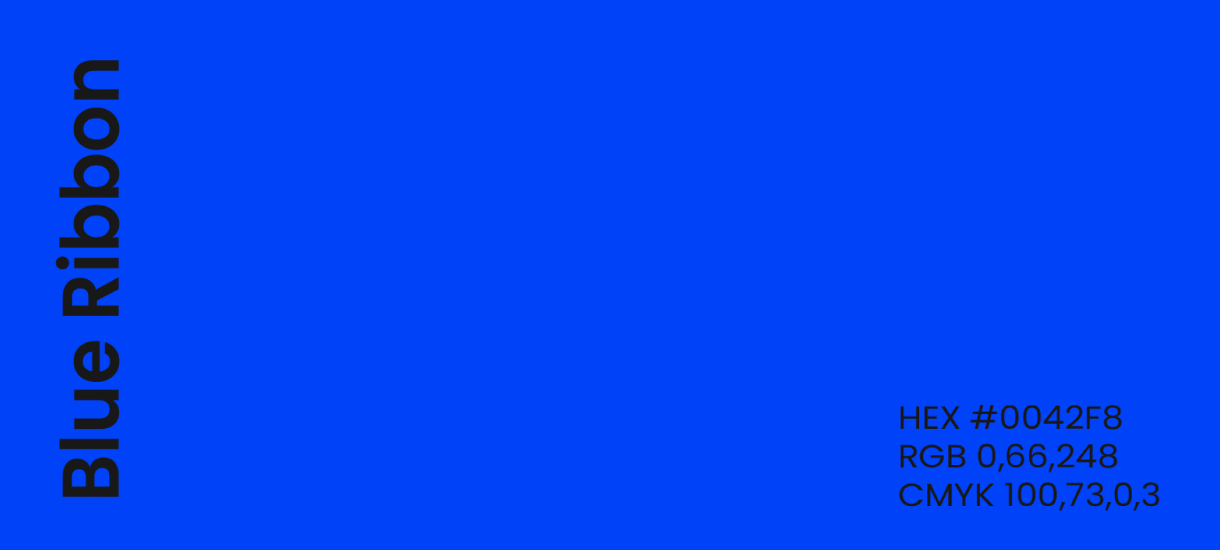 ENFA visual identity guide showcasing the signature Blue Ribbon color, with detailed color specifications on a clean white background.