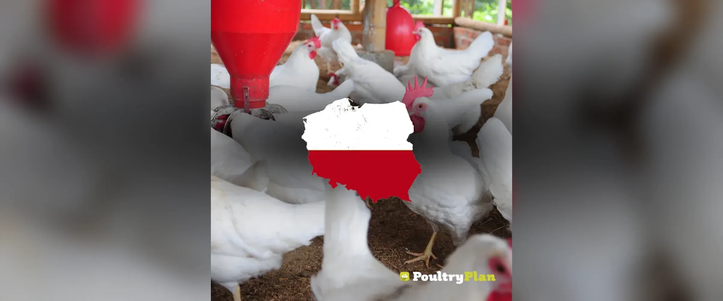 PoultryPlanDie Software für die Geflügelhaltung von … treibt die Modernisierung in Polen voran