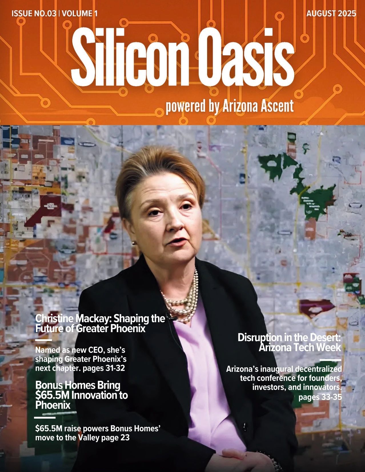 a black and white living room with a large tv