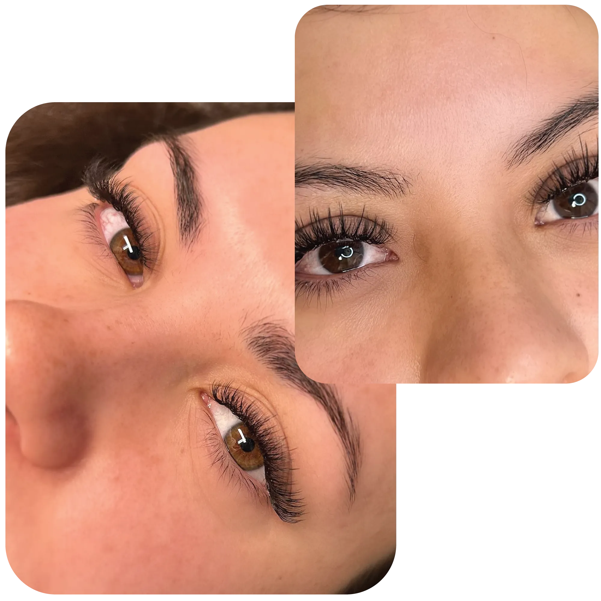 Hybrid Set - Perfect Mix of classic and volume lashes