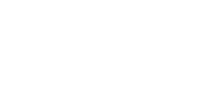 Artemis Logo