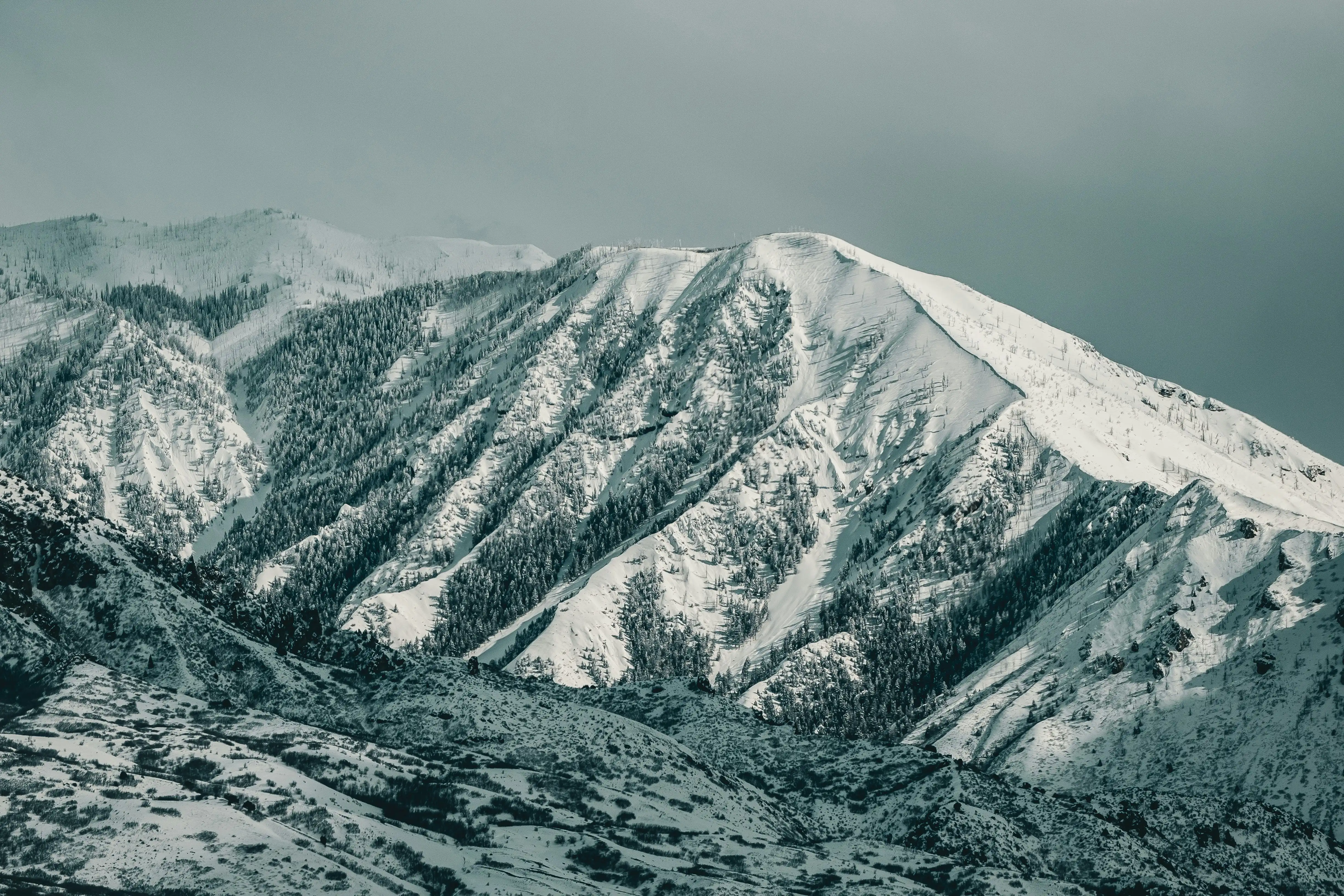 Remote, full-service mountain, firm foundation for small business.