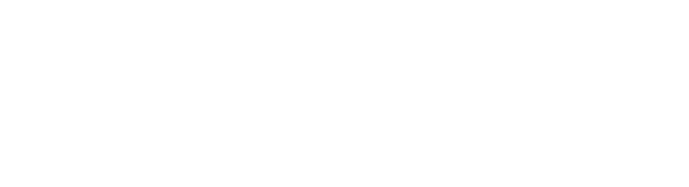 havelsan_logo
