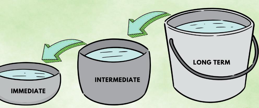 Close-up of lush, dark green leaves, some glossy and wet, against a muted background.